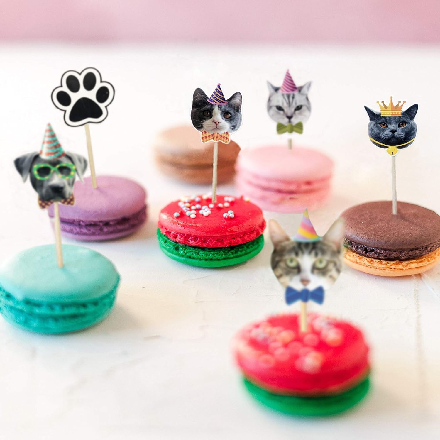 24PCS Cat Cupcake Toppers, Cats Face Cake Toppers, Kitten Pet Theme Decorations Stick Toothpicks Supplies for Party Baby Shower