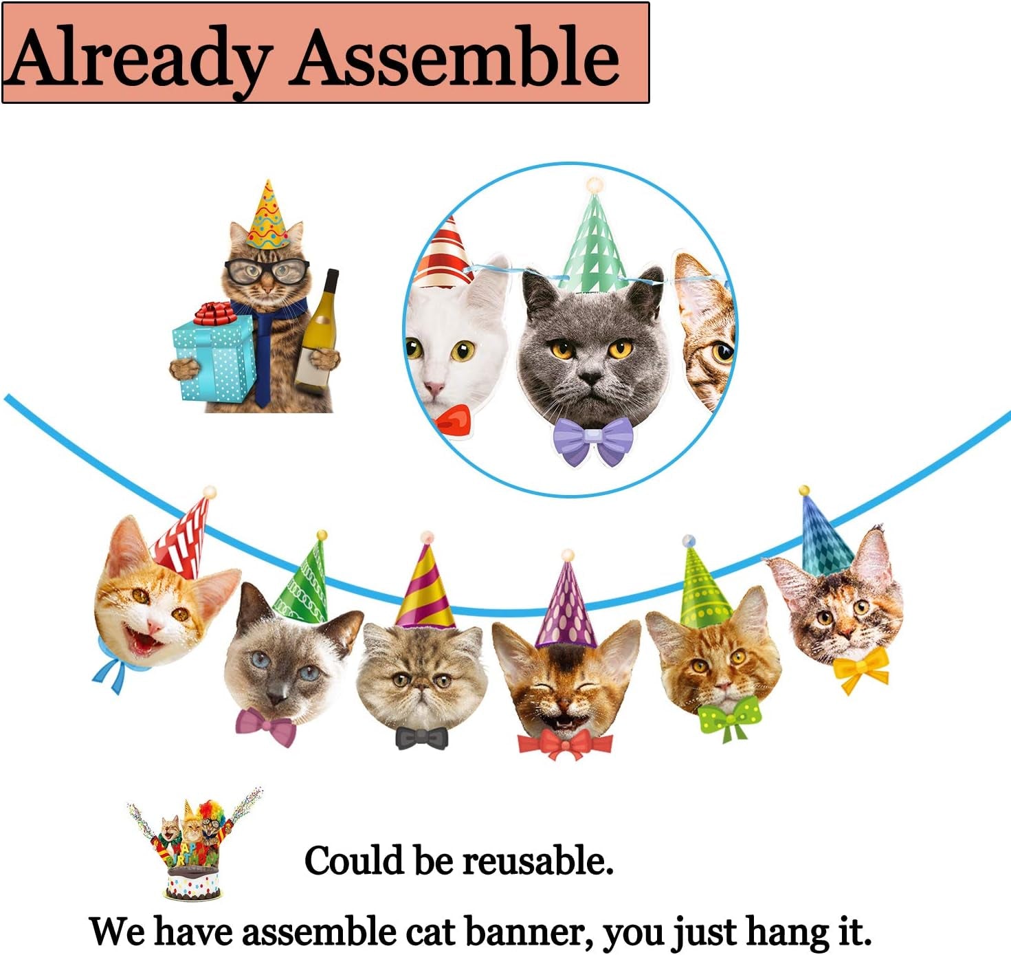 Cat Birthday Banner - No DIY Needed - Decorations Garland with Faces for Party Decor